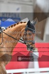 ref. photo 3496056