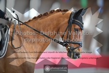 ref. photo 3496057
