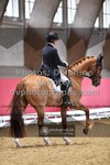 ref. photo 3496066
