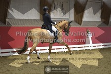ref. photo 3496077