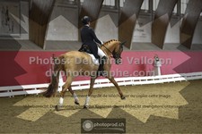 ref. photo 3496078
