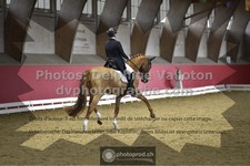 ref. photo 3496079