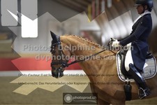 ref. photo 3496082