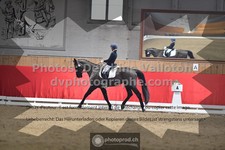 ref. photo 3496090