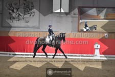 ref. photo 3496118