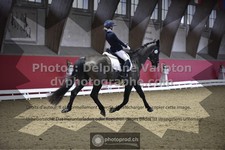 ref. photo 3496163