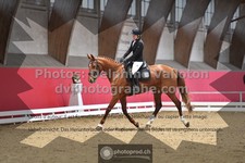 ref. photo 3496219