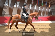 ref. photo 3496223