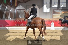 ref. photo 3496227
