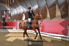 ref. photo 3496239