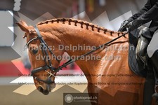 ref. photo 3496243