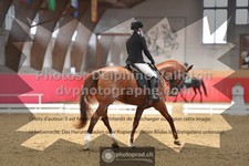 ref. photo 3496249