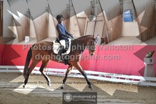 ref. photo 3496262