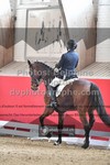 ref. photo 3496267