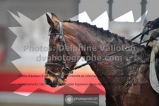 ref. photo 3496282