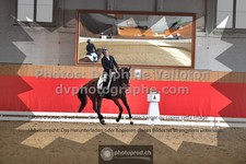 ref. photo 3496284