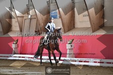 ref. photo 3496288