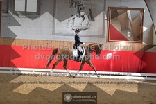 ref. photo 3496341