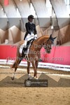 ref. photo 3496358