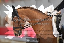 ref. photo 3496363