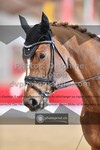 ref. photo 3496375