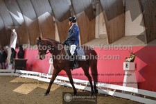 ref. photo 3496388