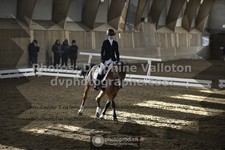 ref. photo 3496418