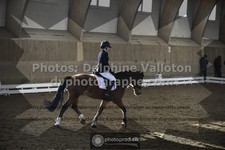 ref. photo 3496428