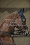 ref. photo 3496478