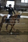 ref. photo 3496484