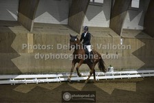 ref. photo 3496489