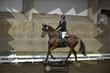 ref. photo 3496493