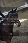 ref. photo 3496495