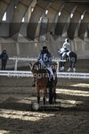 ref. photo 3496623