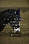 ref. photo 3496626