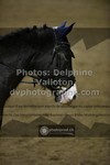 ref. photo 3496627