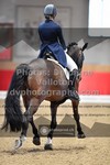 ref. photo 3496703