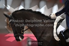 ref. photo 3496742