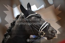 ref. photo 3496843