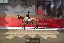 ref. photo 3497008