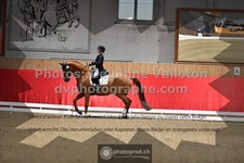 ref. photo 3497010