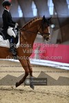 ref. photo 3497025