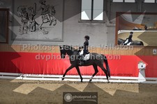 ref. photo 3497049