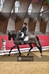 ref. photo 3497053