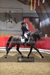 ref. photo 3497064