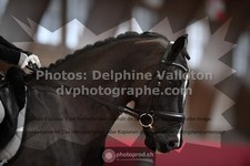 ref. photo 3497066