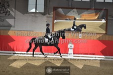 ref. photo 3497079