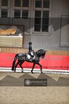 ref. photo 3497091