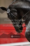 ref. photo 3497109