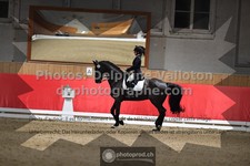 ref. photo 3497114